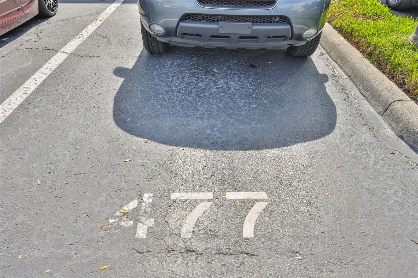 Image 44 of 46 For 477 Countryside Key Boulevard