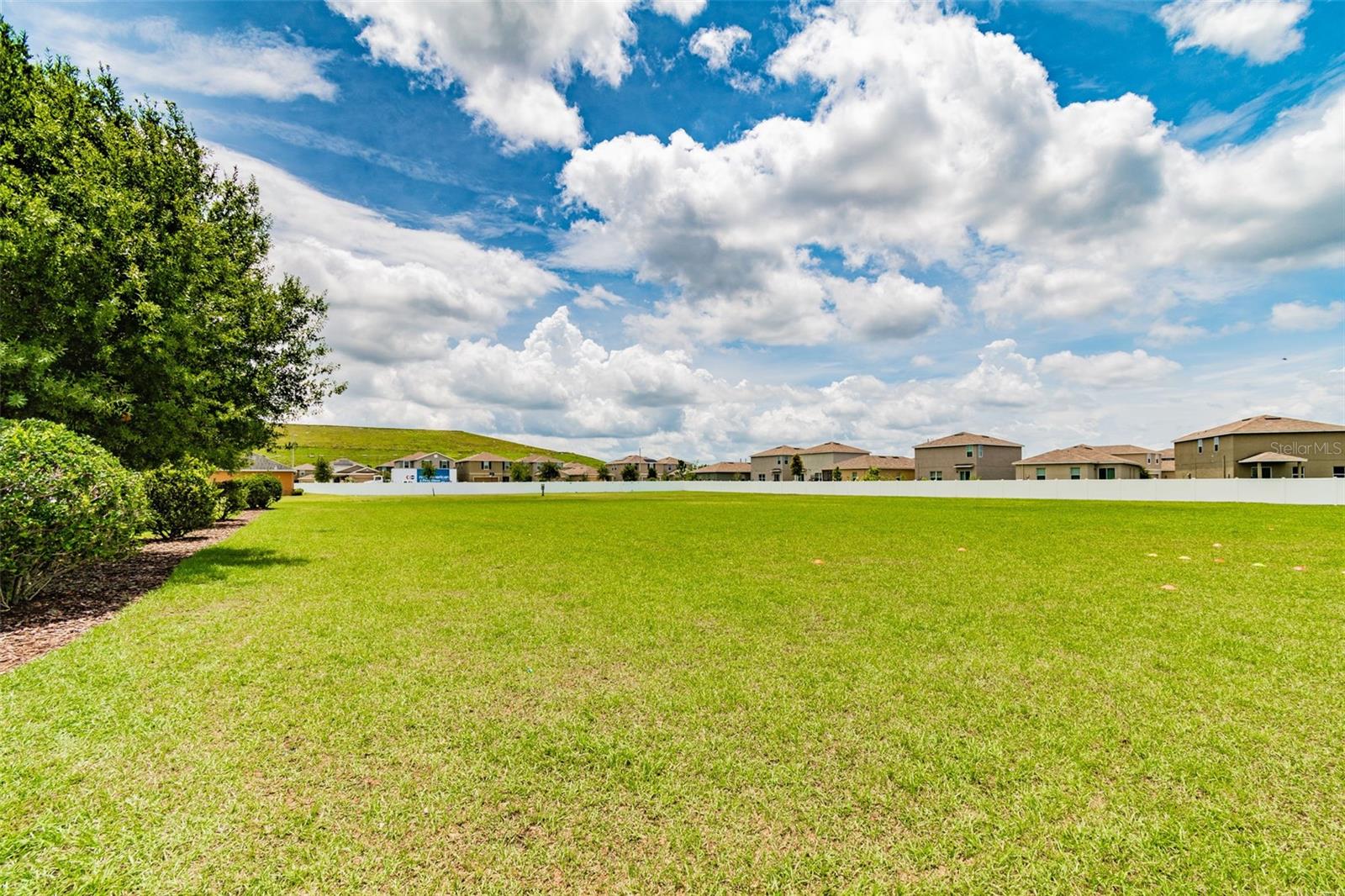 Listing photo id 53 for 10248 Carloway Hills Drive