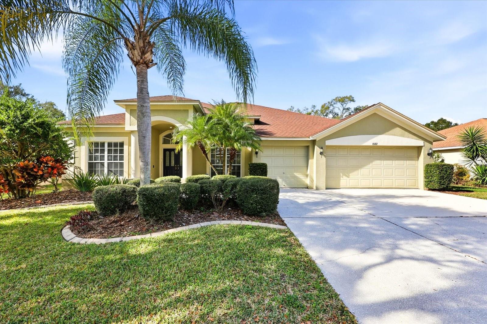 Details for 15102 Arbor Hollow Drive, ODESSA, FL 33556