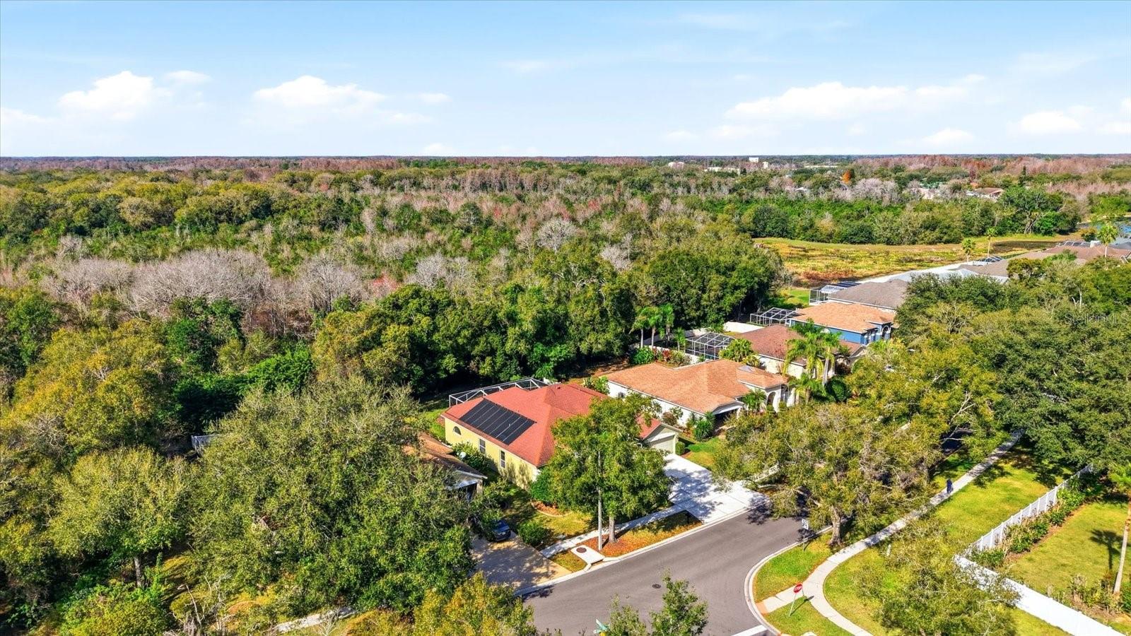 Image 40 of 49 For 15102 Arbor Hollow Drive