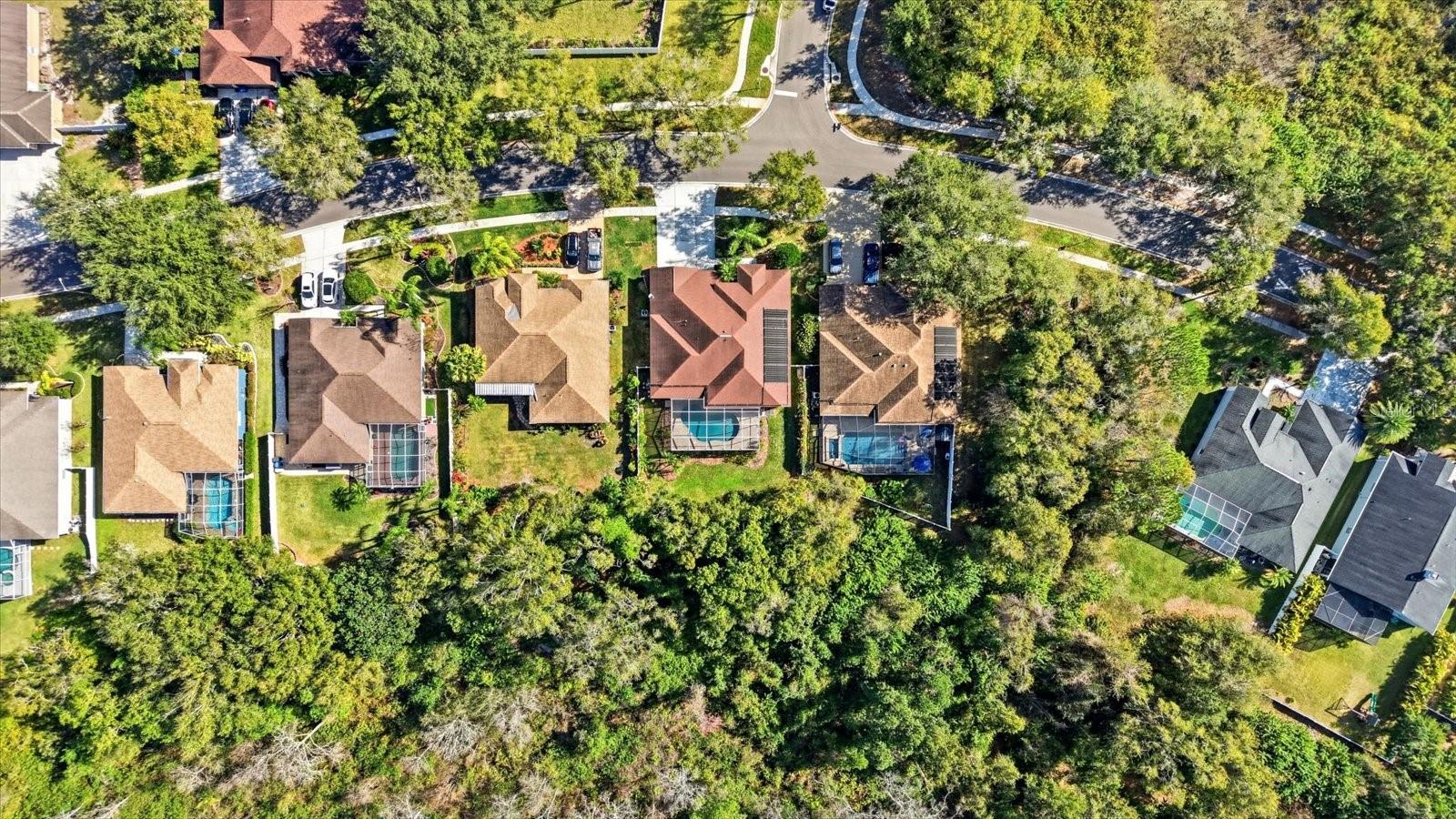 Image 43 of 49 For 15102 Arbor Hollow Drive