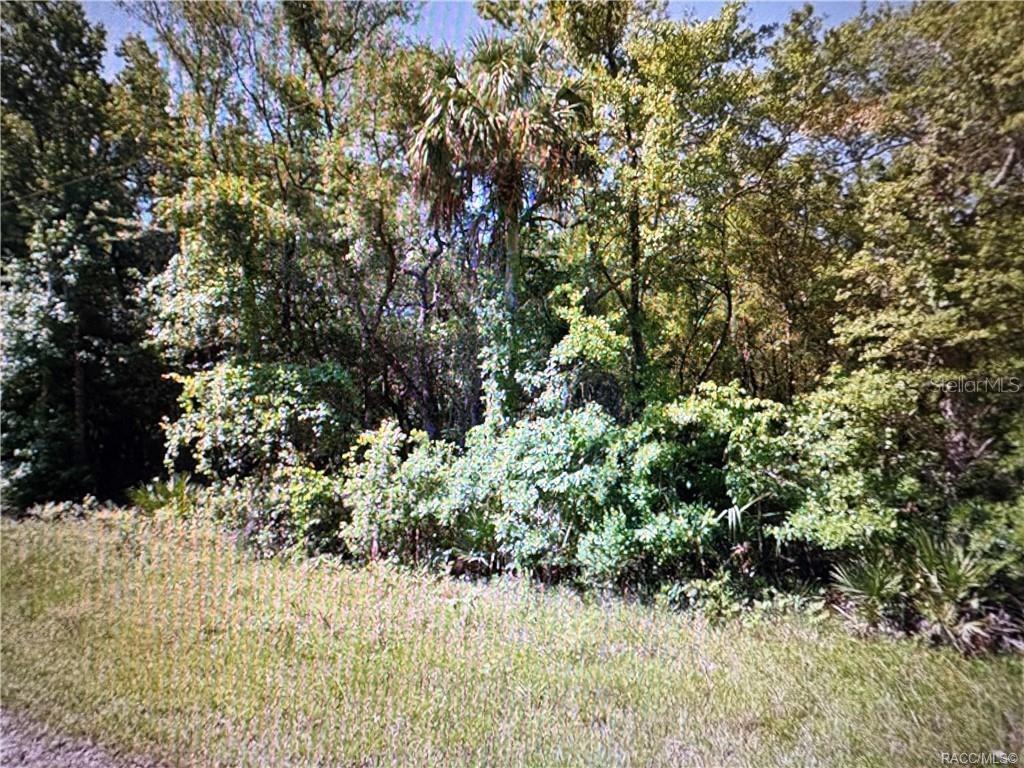 Image 5 of 7 For 10043 Holloway Path