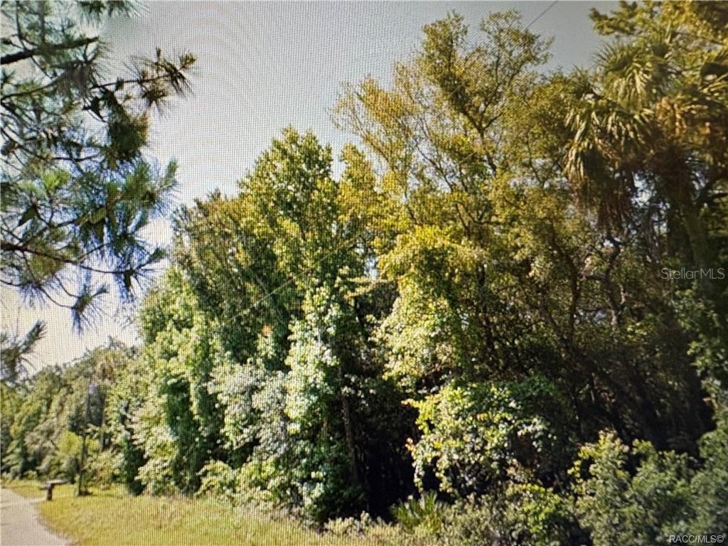 Image 6 of 7 For 10043 Holloway Path