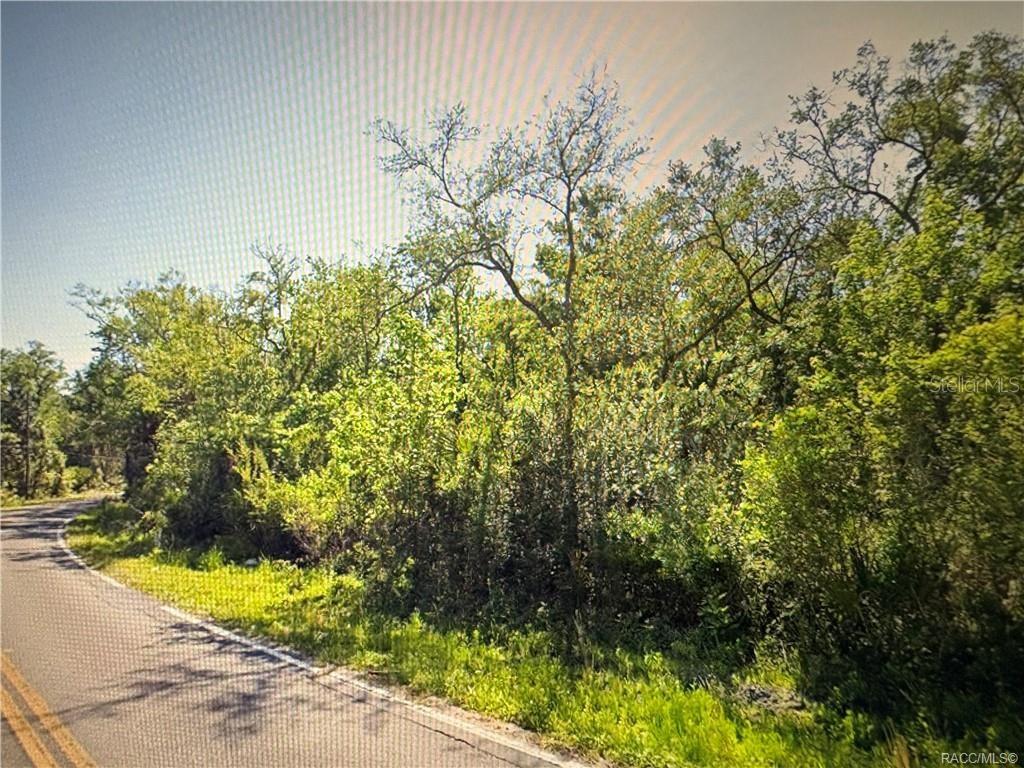 Image 7 of 7 For 10043 Holloway Path