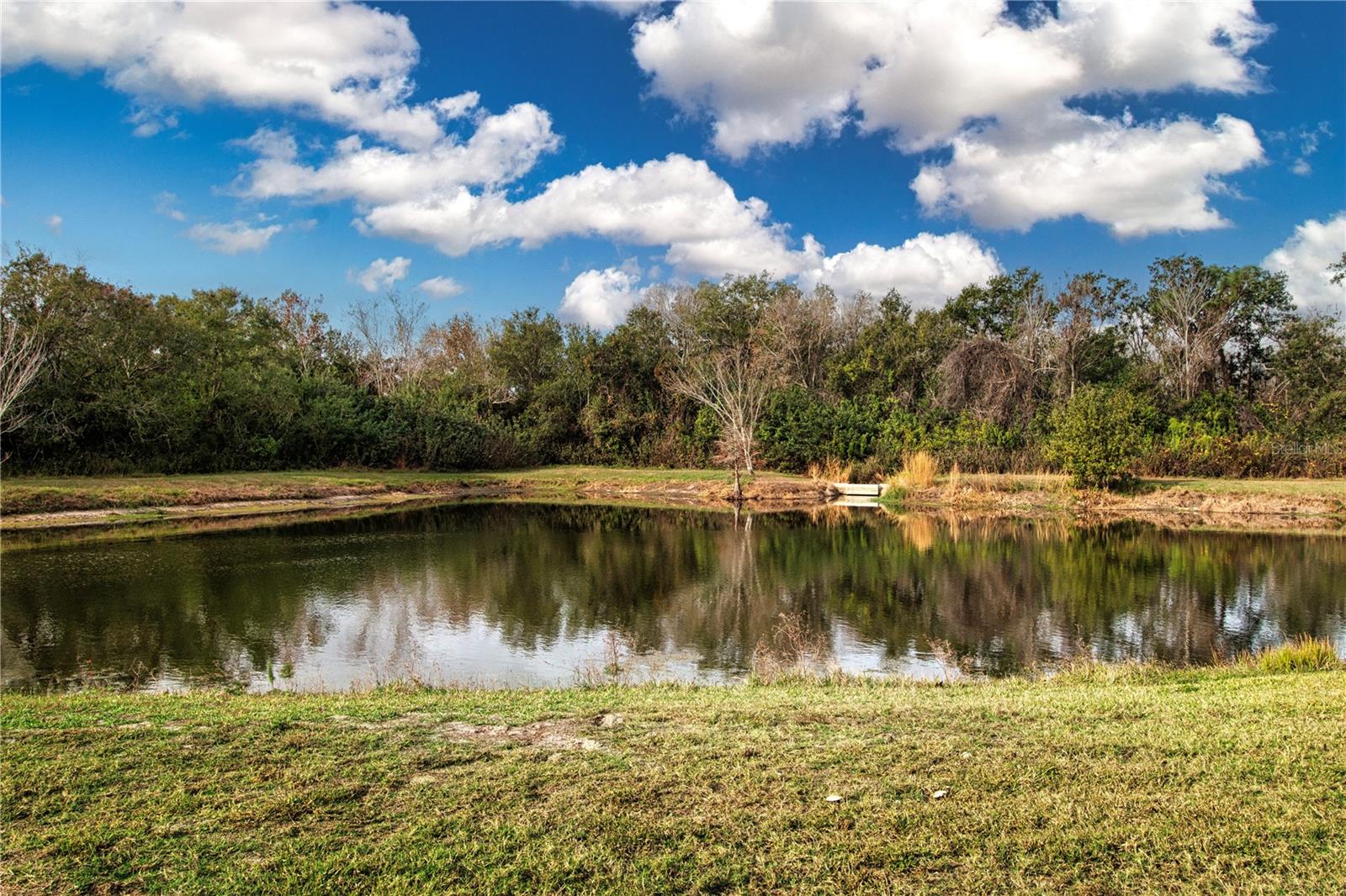 Image 49 of 76 For 1908 Sterling Glen Court