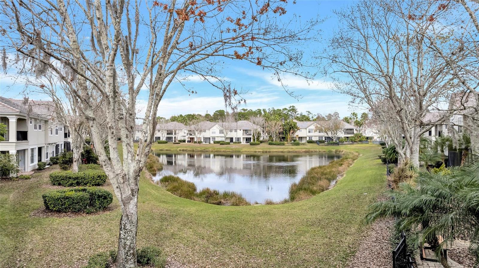 Image 29 of 49 For 14510 Mirabelle Vista Circle