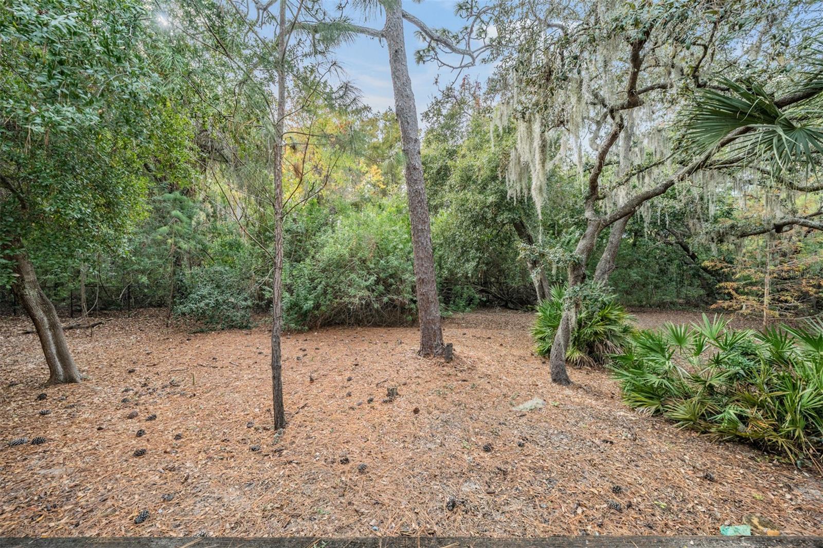 Image 31 of 54 For 2148 Chianti Place 13-0139