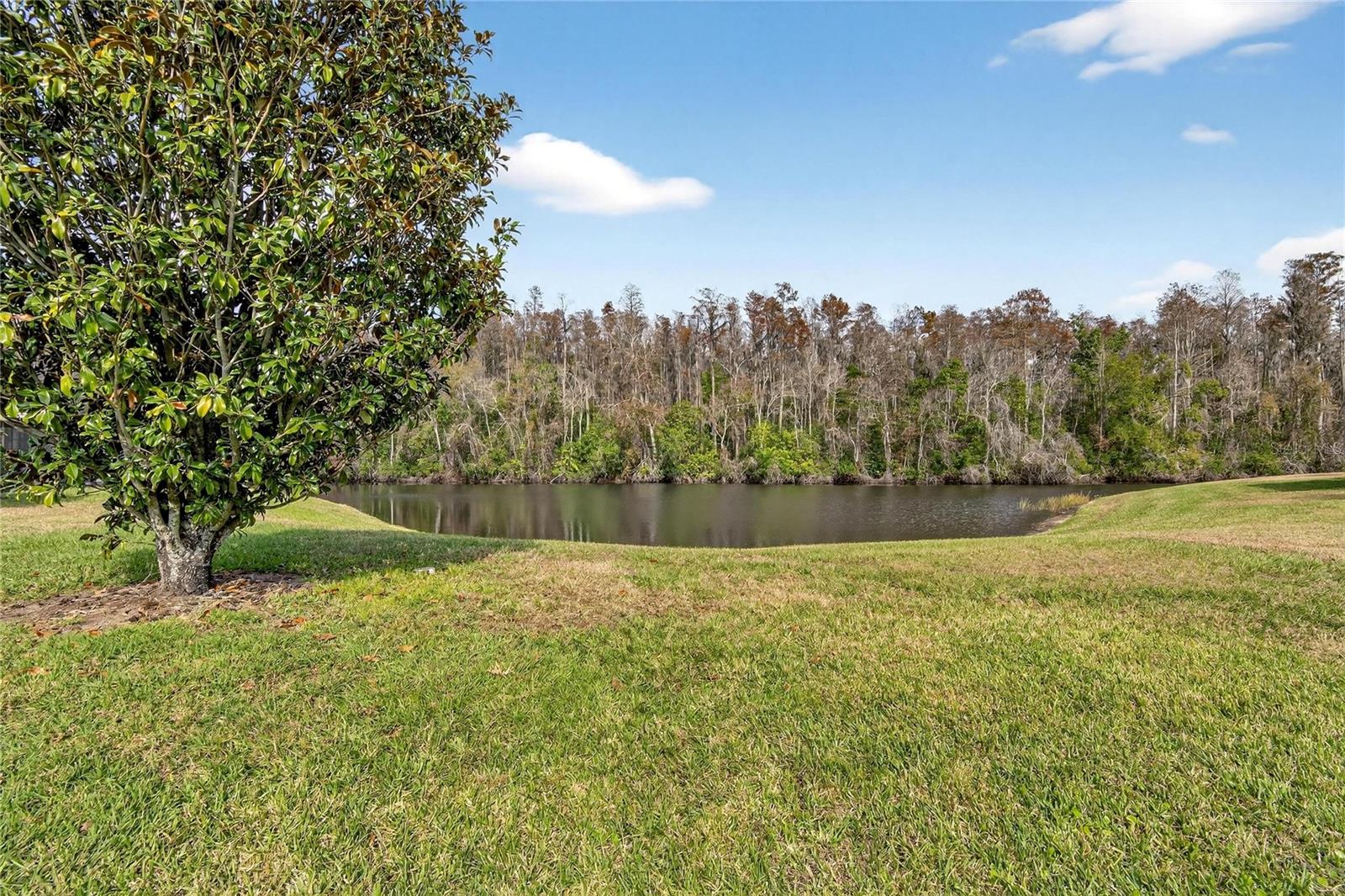 Image 46 of 53 For 2001 Hartlebury Way 432