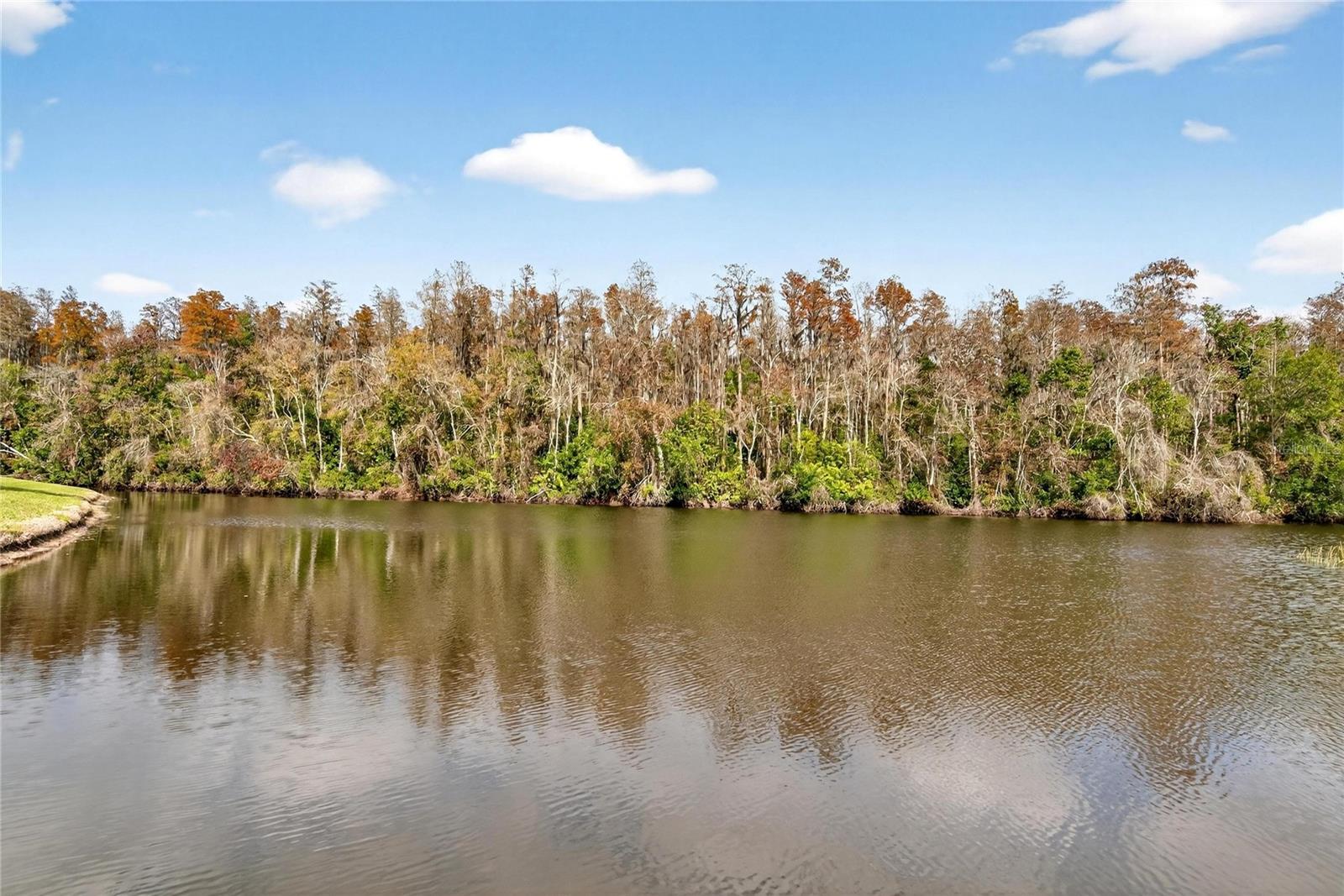 Image 47 of 53 For 2001 Hartlebury Way 432