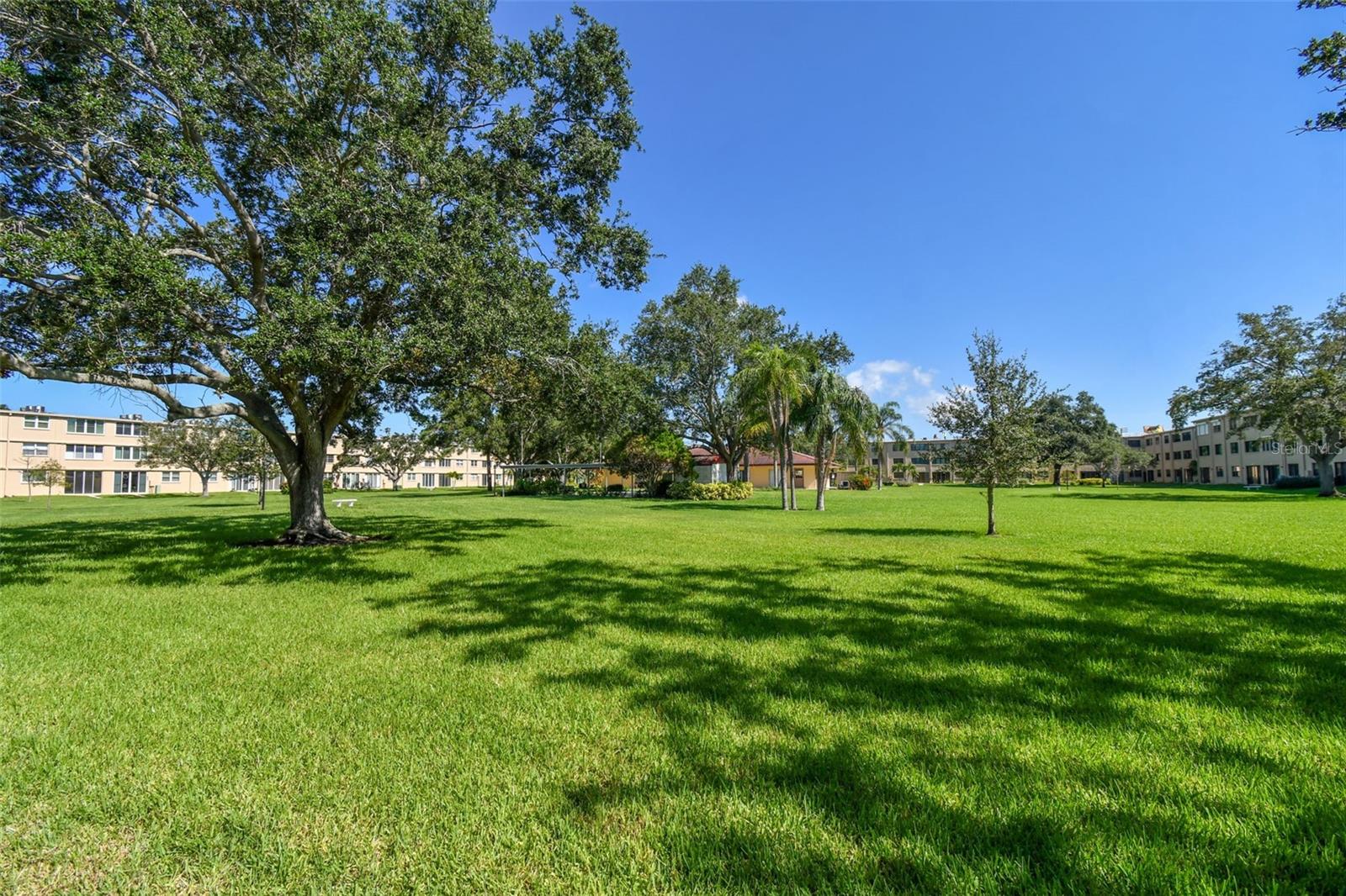 Image 41 of 51 For 4885 1st Street Ne 203