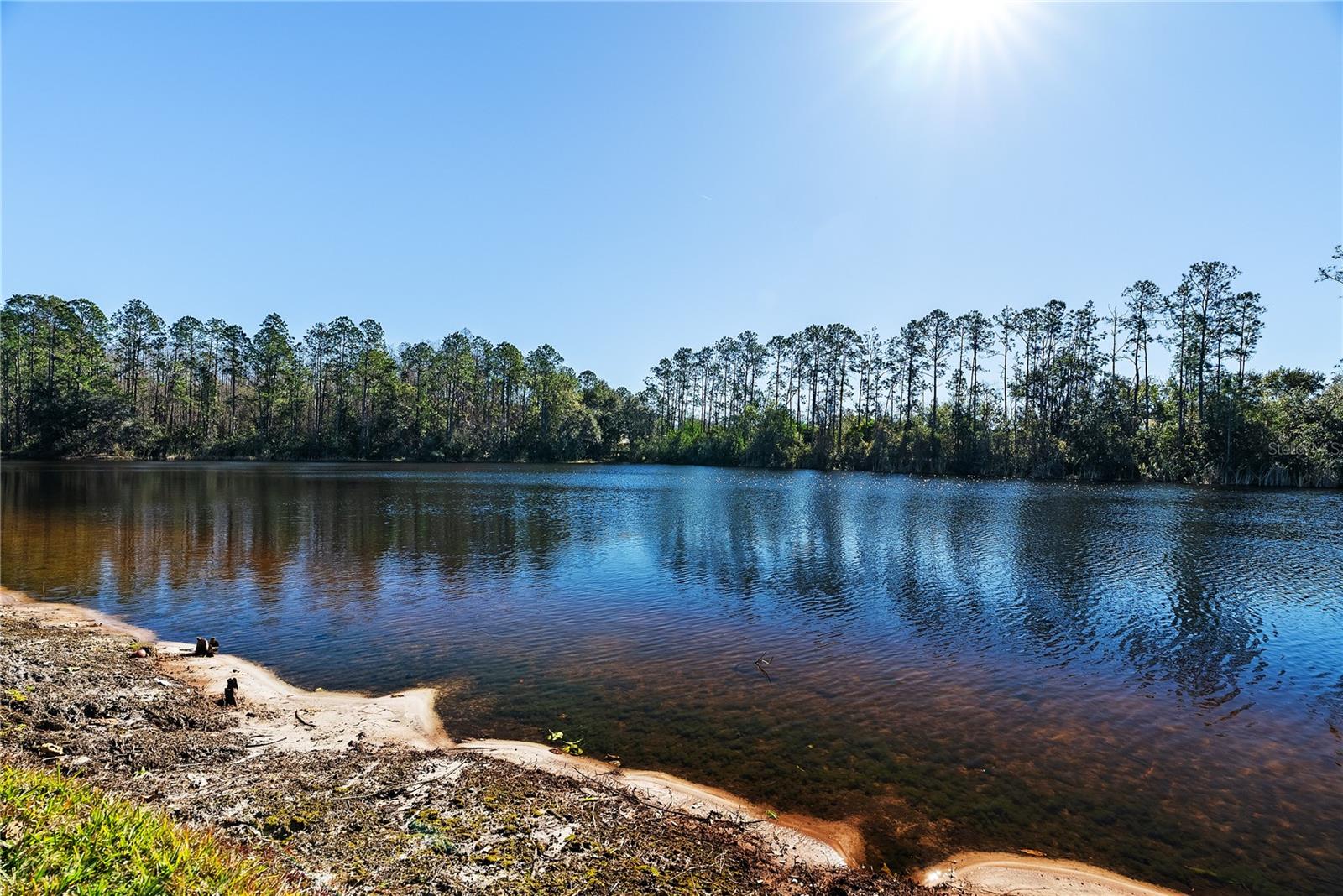 Image 40 of 47 For 4830 Sky Blue Drive