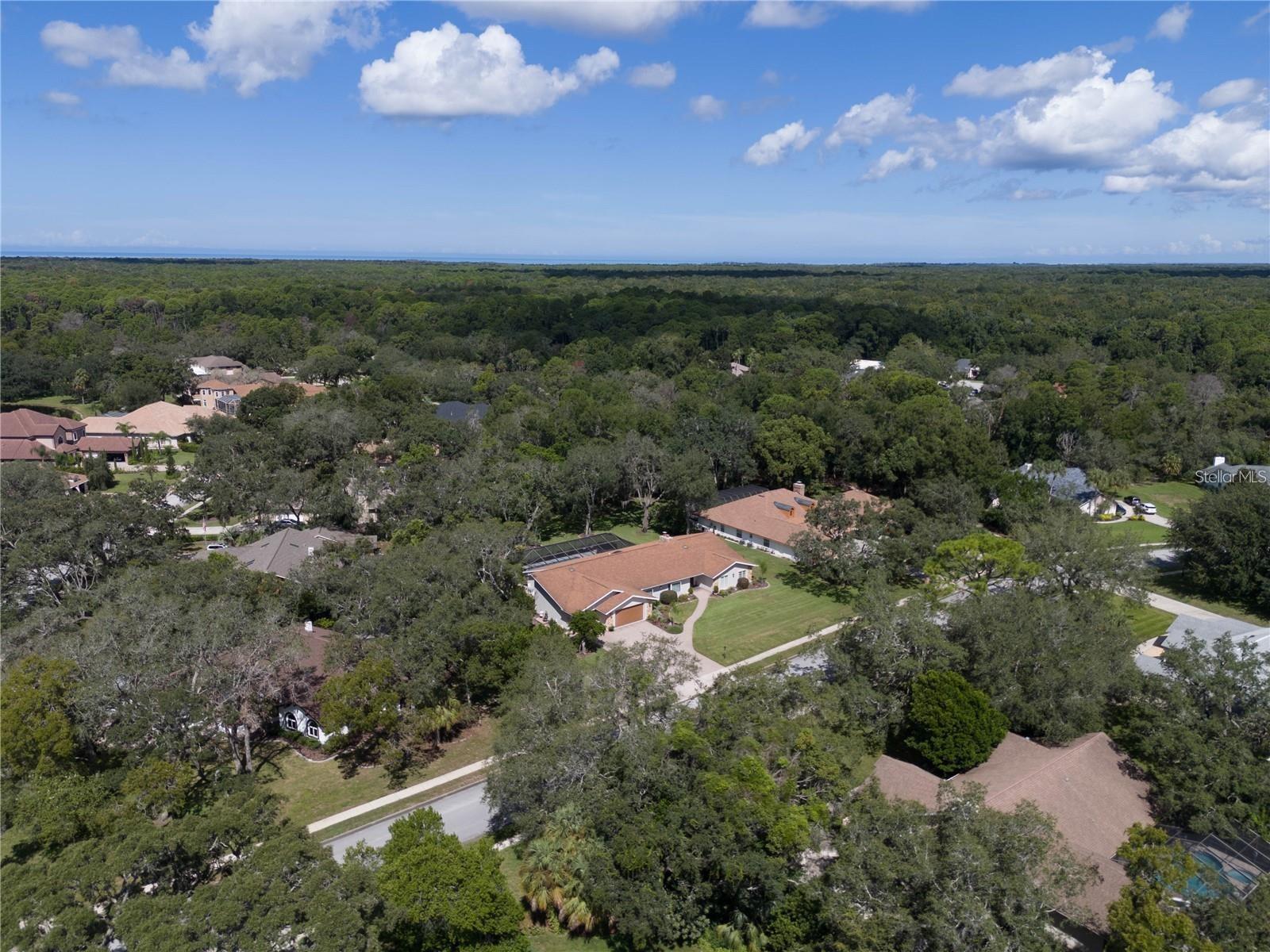 Image 48 of 72 For 4603 Lake In The Woods Drive