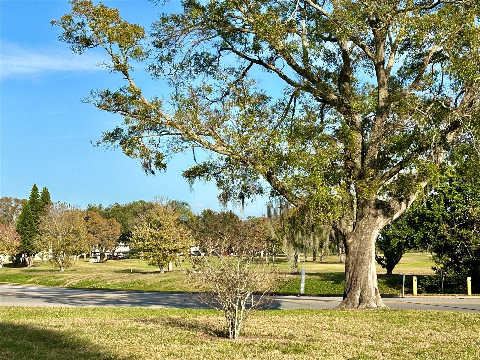 Image 29 of 50 For 2360 Irish Lane 46