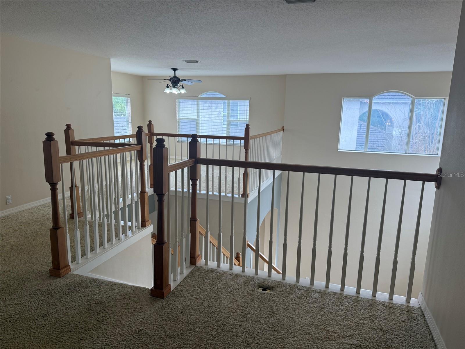 Image 16 of 25 For 9212 Meadow Lane Court