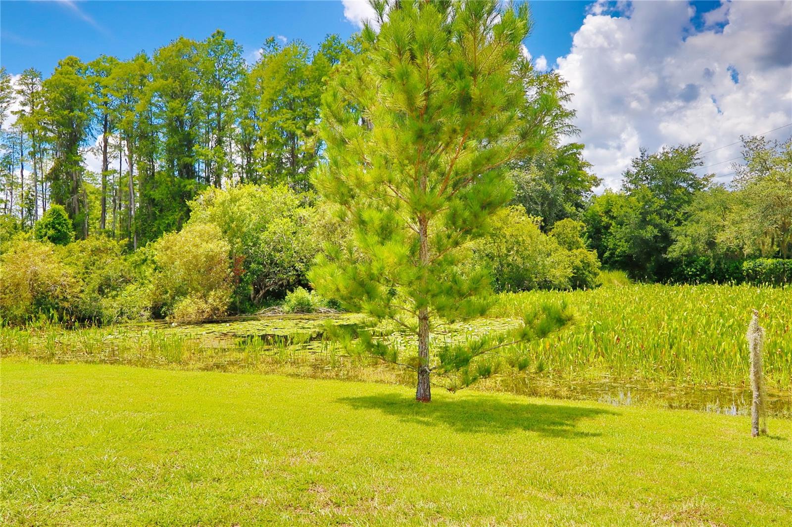 Image 30 of 32 For 7031 Moss Ledge