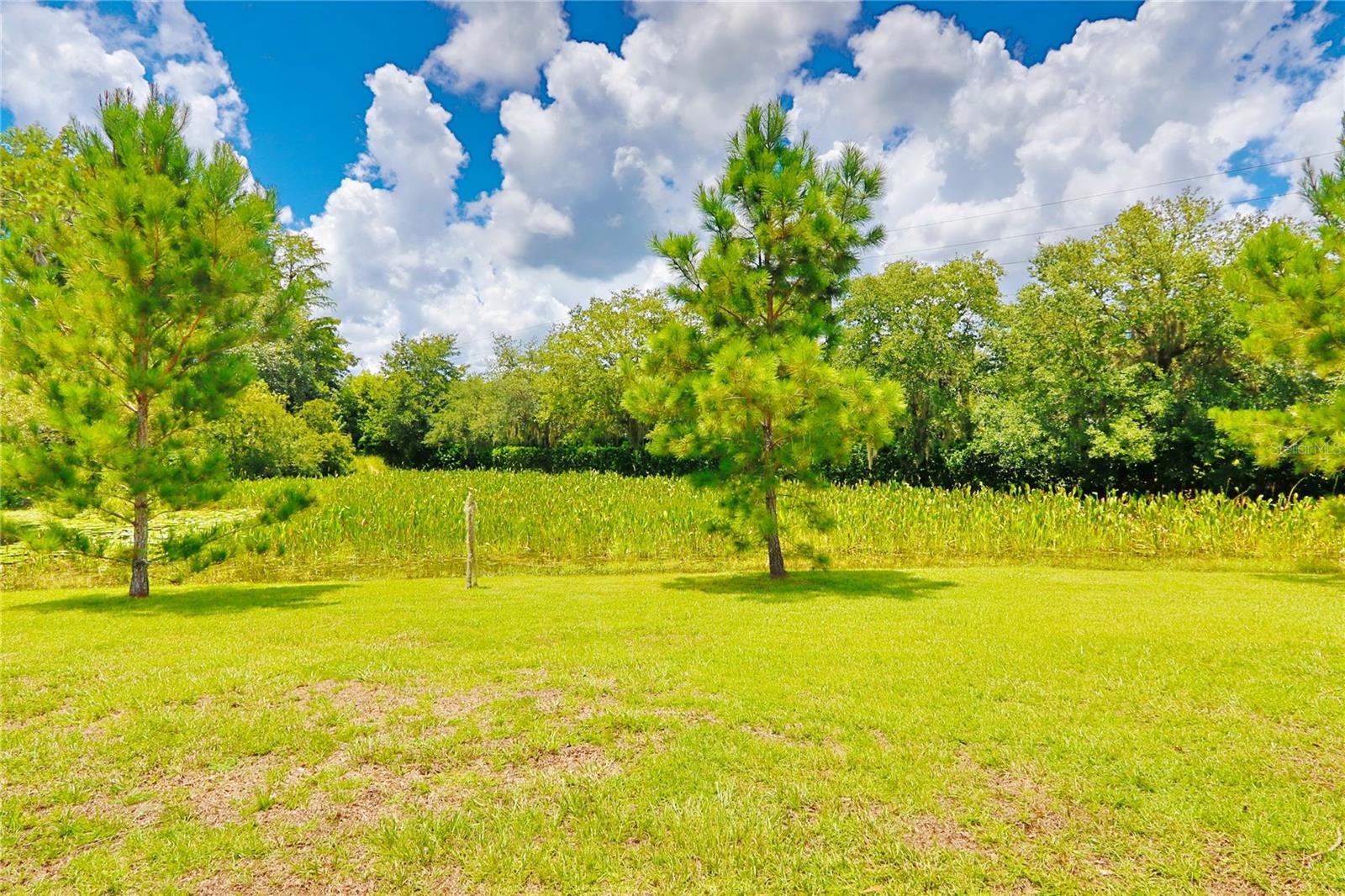 Image 32 of 32 For 7031 Moss Ledge