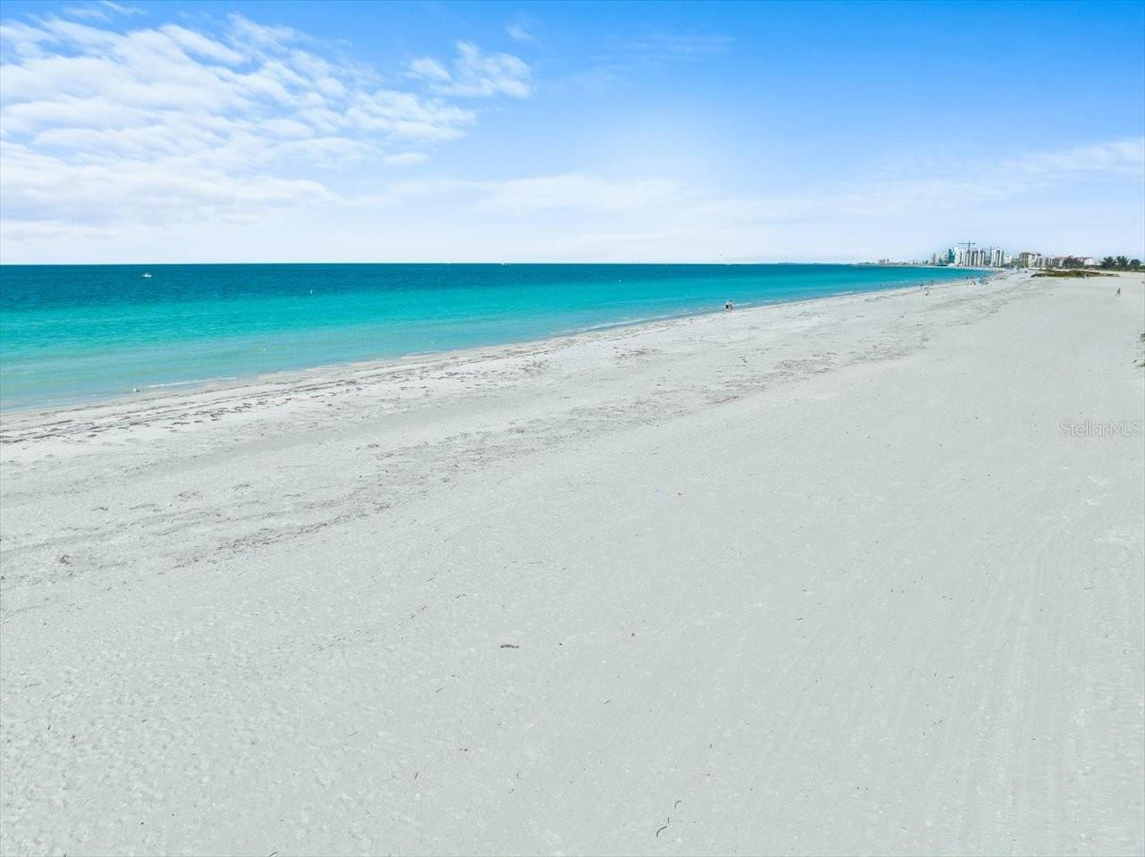 Image 52 of 76 For 1400 Gulf Boulevard 806