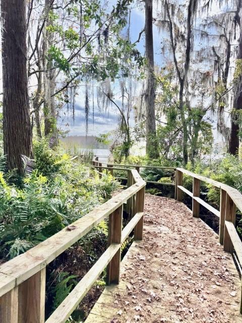 Image 41 of 41 For 13020 Lorna Place