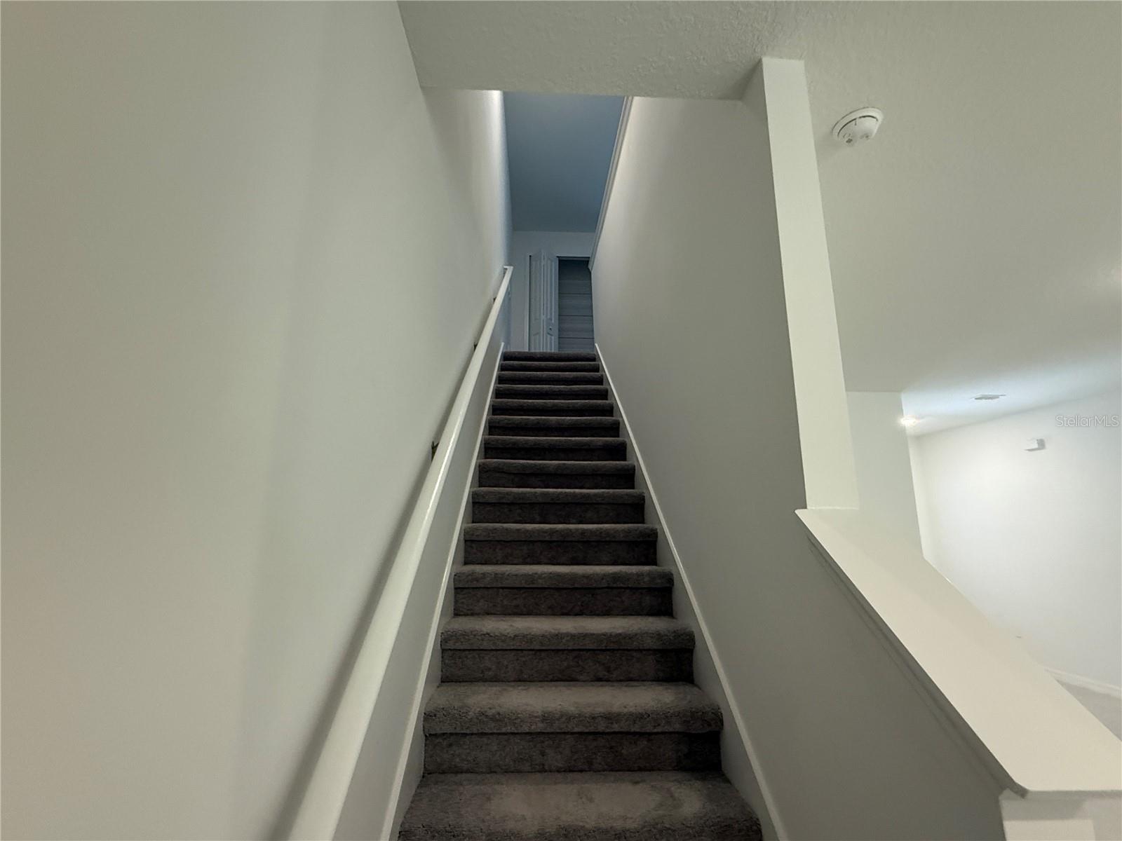 Image 10 of 46 For 10232 Trumpet Honeysuckle Way