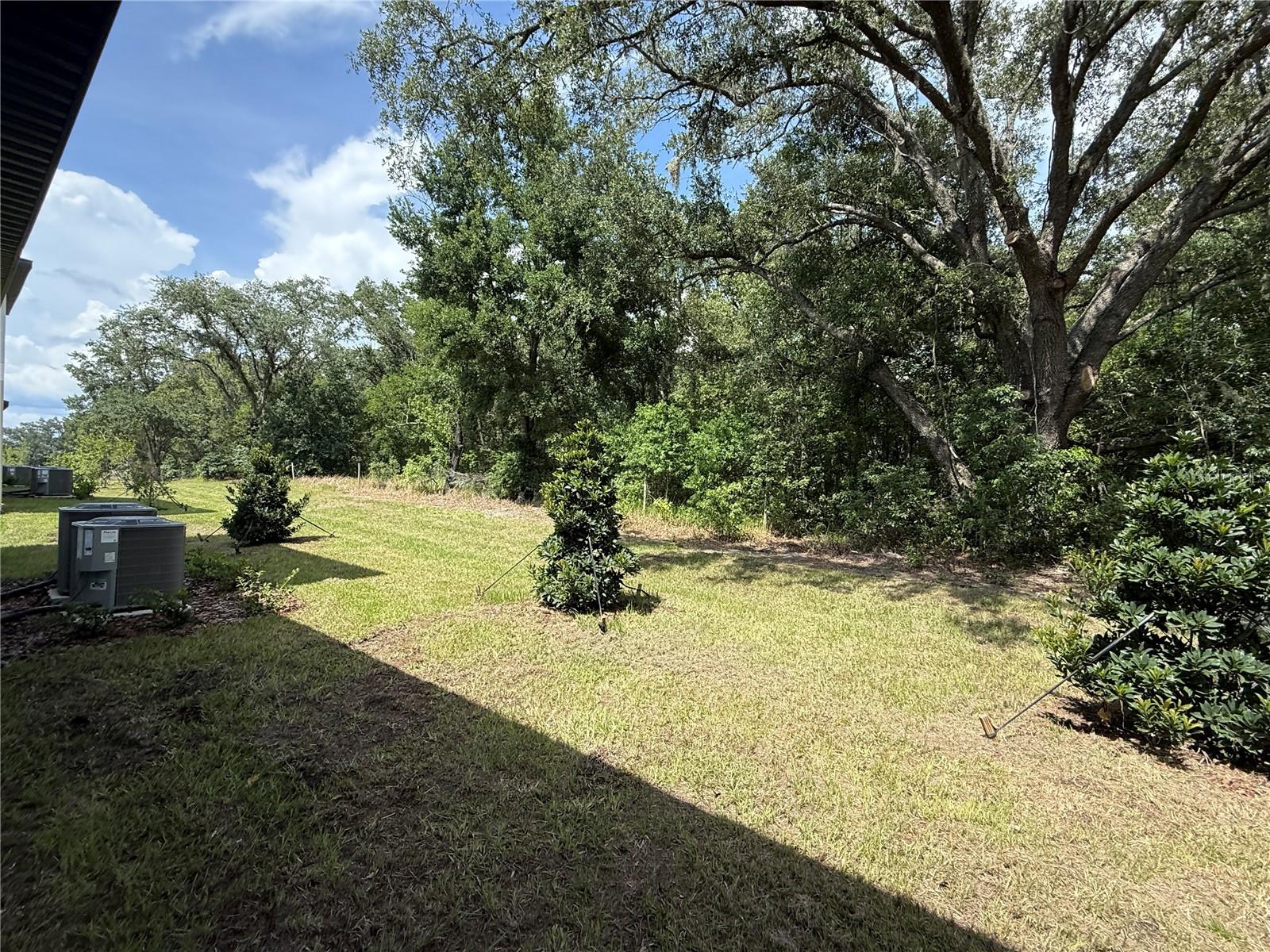 Image 29 of 46 For 10232 Trumpet Honeysuckle Way