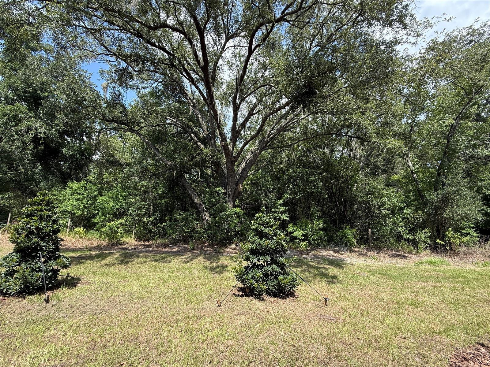 Image 30 of 46 For 10232 Trumpet Honeysuckle Way