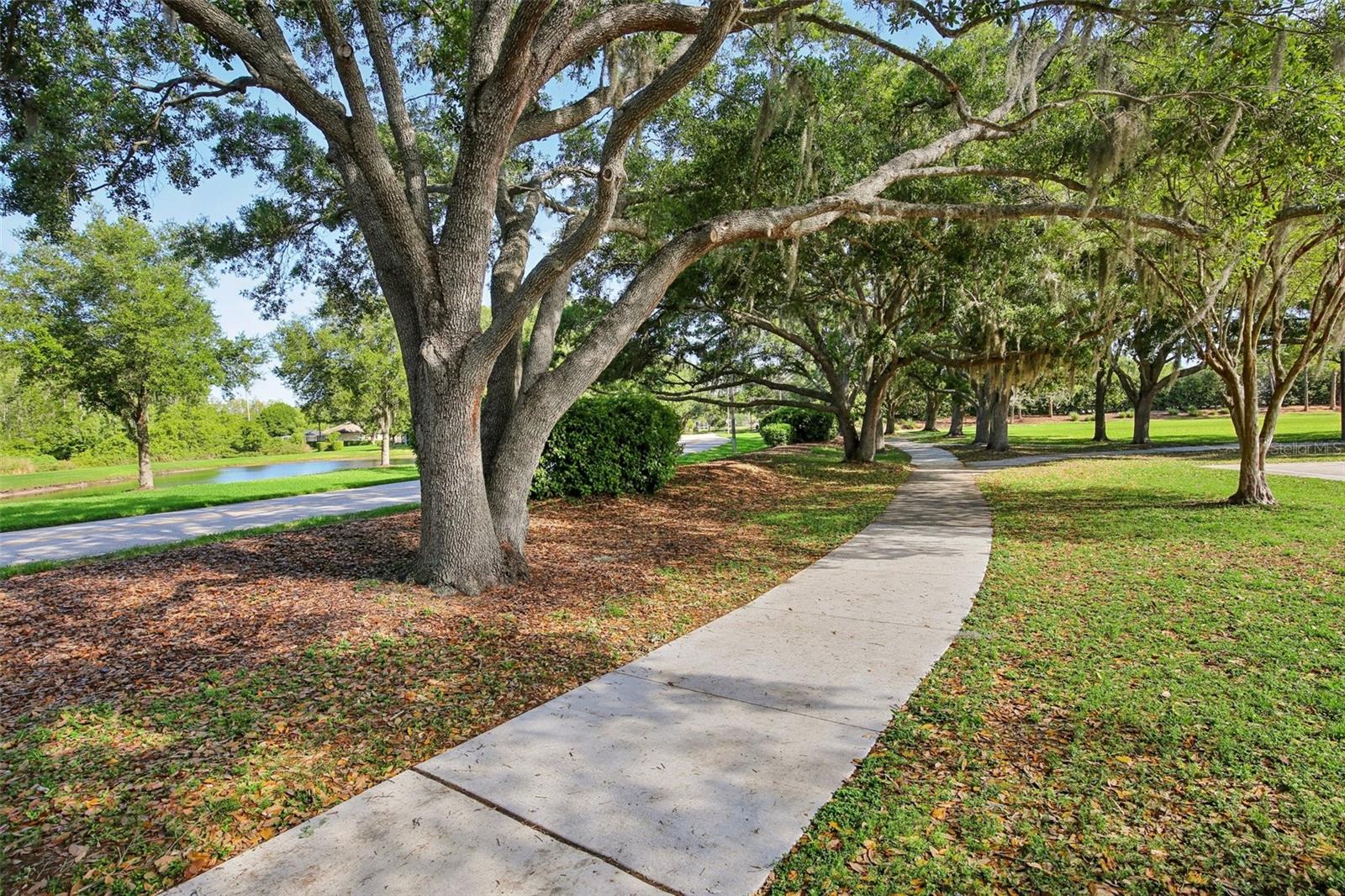 Image 41 of 46 For 19329 Garden Quilt Circle