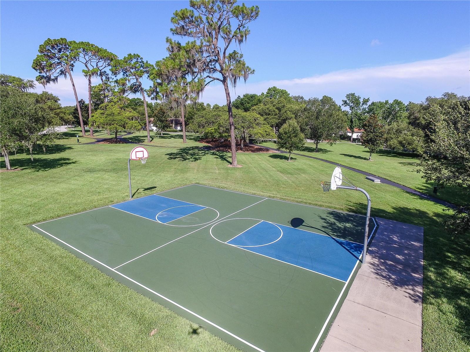 Image 42 of 48 For 2264 Pinnacle Circle N