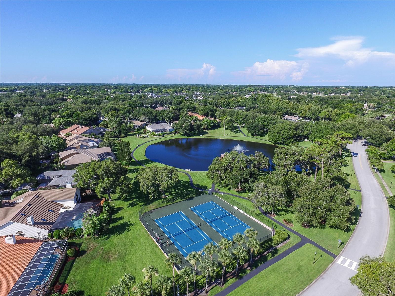 Image 46 of 48 For 2264 Pinnacle Circle N