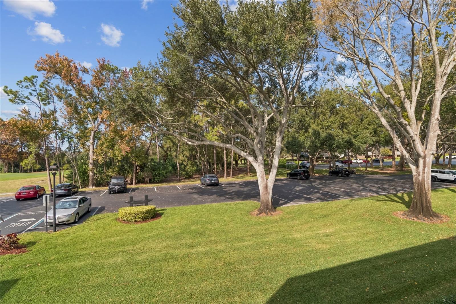 Image 24 of 71 For 36750 Us Highway 19 N 17208