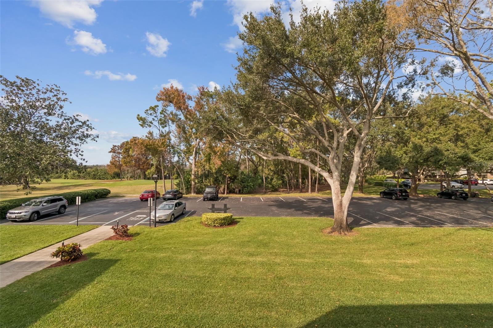 Image 26 of 71 For 36750 Us Highway 19 N 17208