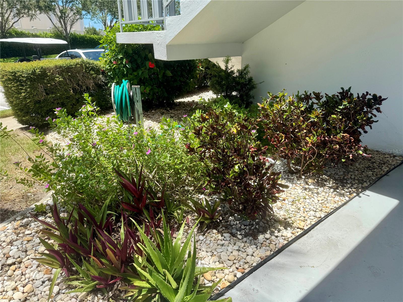 Image 5 of 33 For 11201 80th Avenue 101