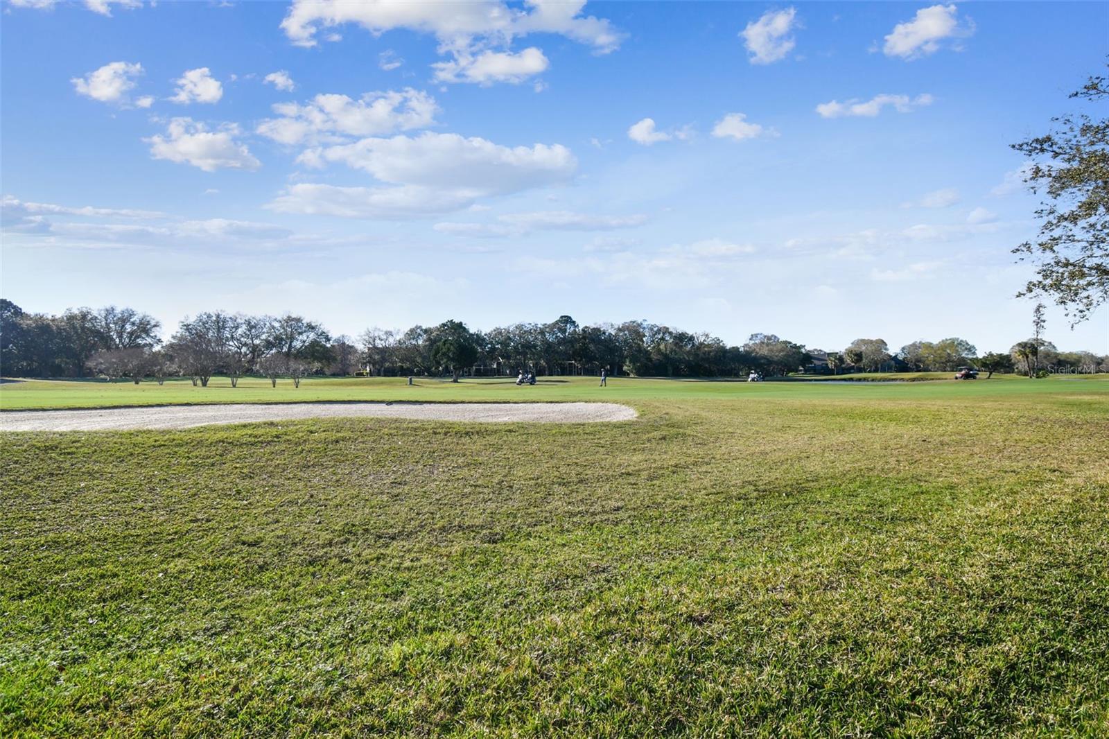 Image 43 of 44 For 13920 Clubhouse Drive