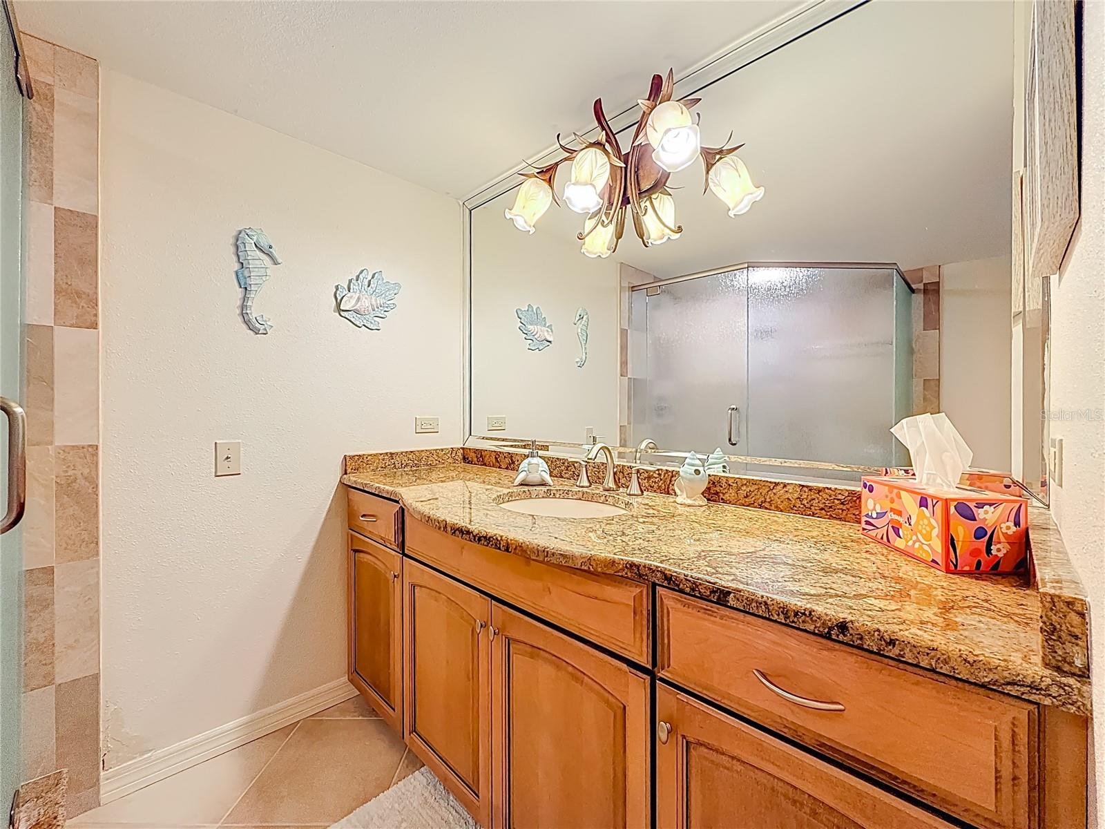 Image 51 of 68 For 6600 Sunset Way  208