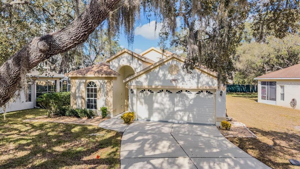 Details for 16501 Sandhill Crane Drive, SPRING HILL, FL 34610