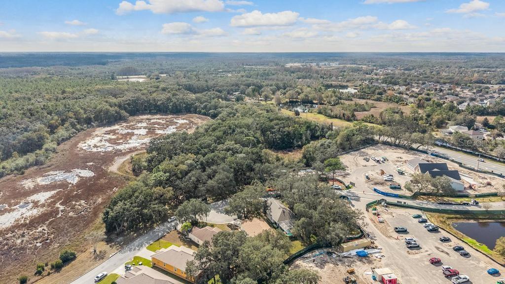 Image 40 of 45 For 16501 Sandhill Crane Drive