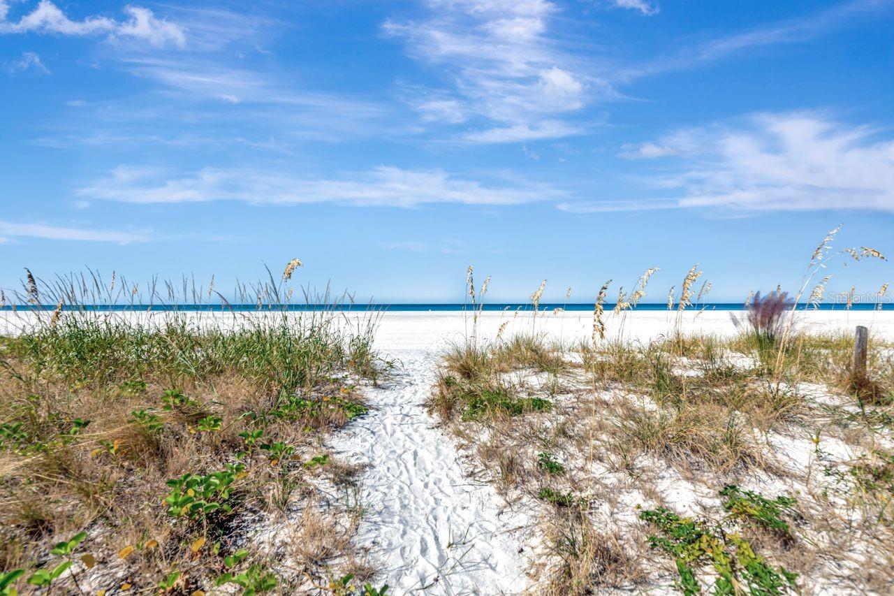 Image 36 of 45 For 1350 Gulf Boulevard 703