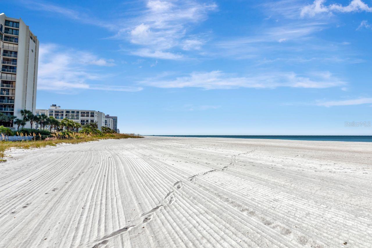 Image 37 of 45 For 1350 Gulf Boulevard 703