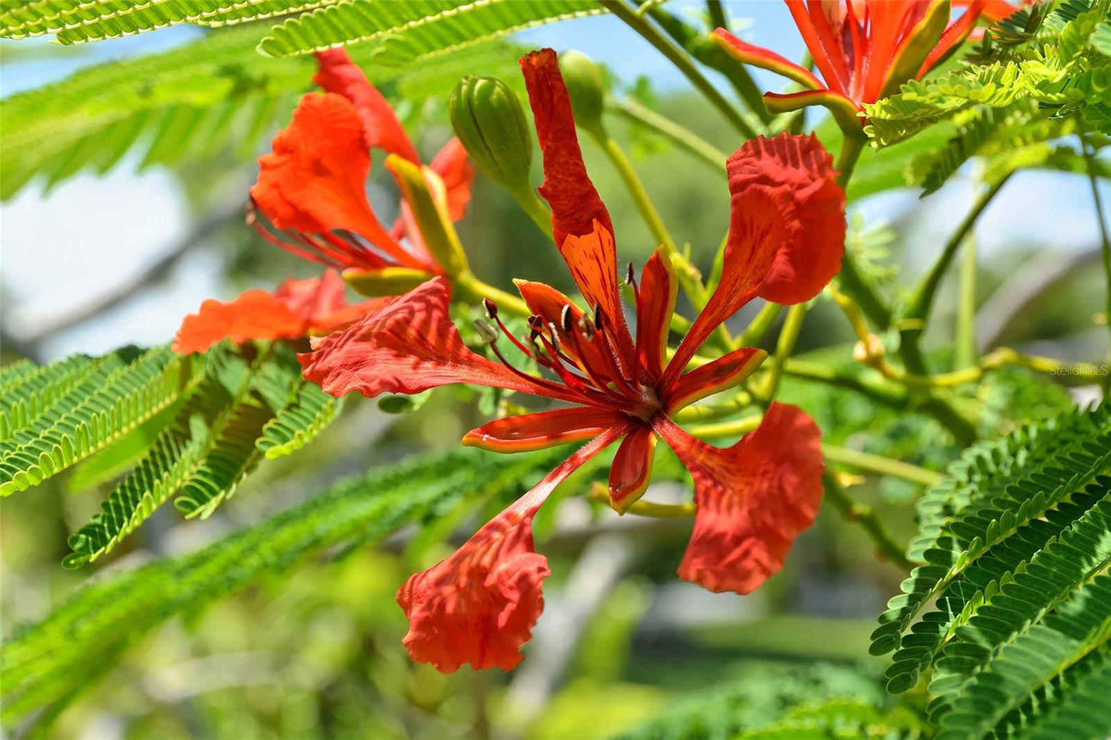 Image 72 of 80 For 1105 92nd Street Nw