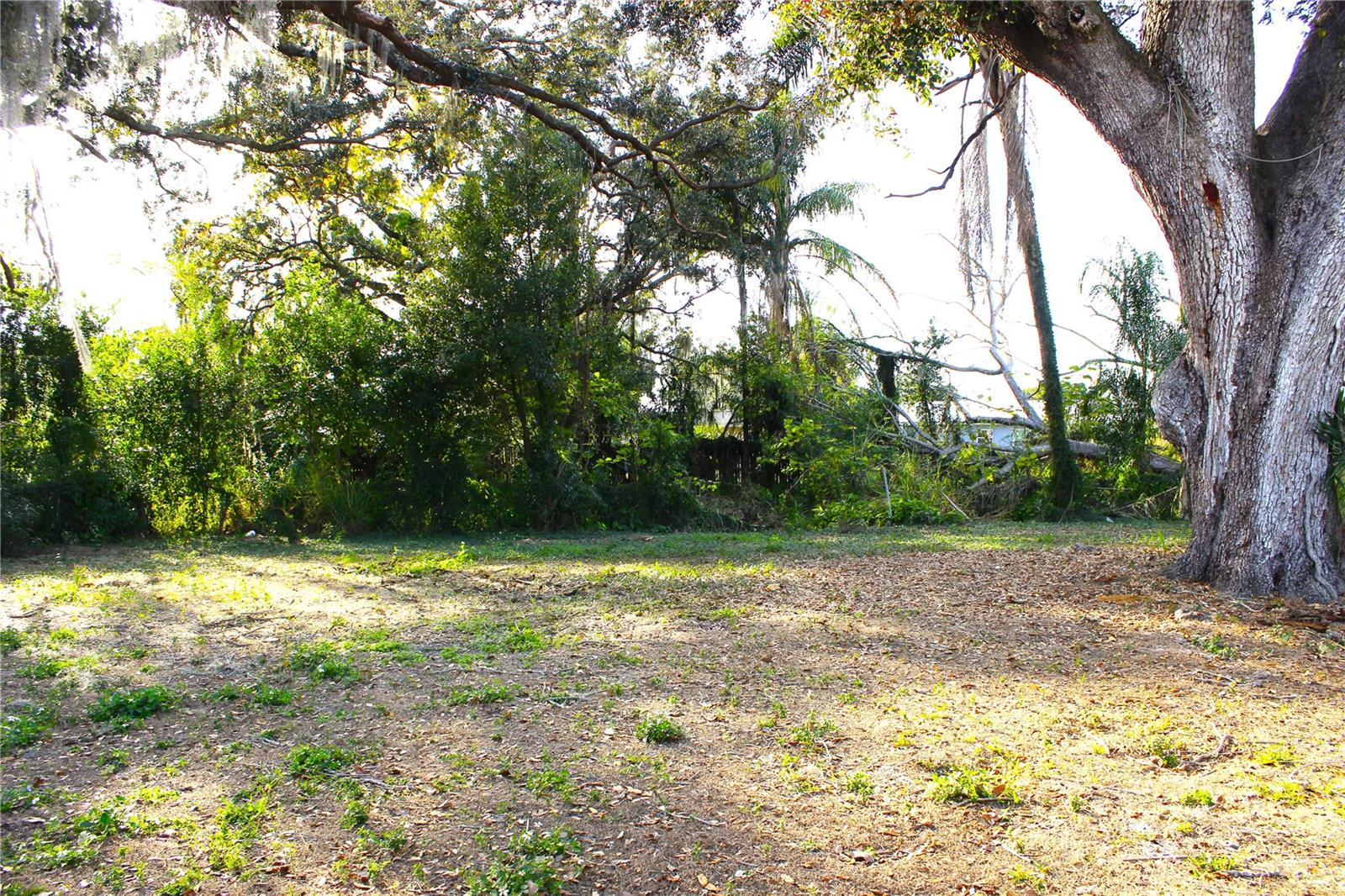 Image 11 of 40 For 4316 Berkley Drive