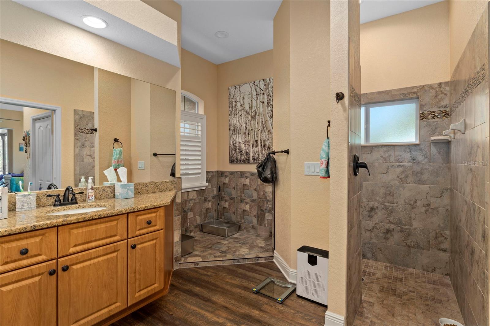 Image 31 of 63 For 39 Linder Street