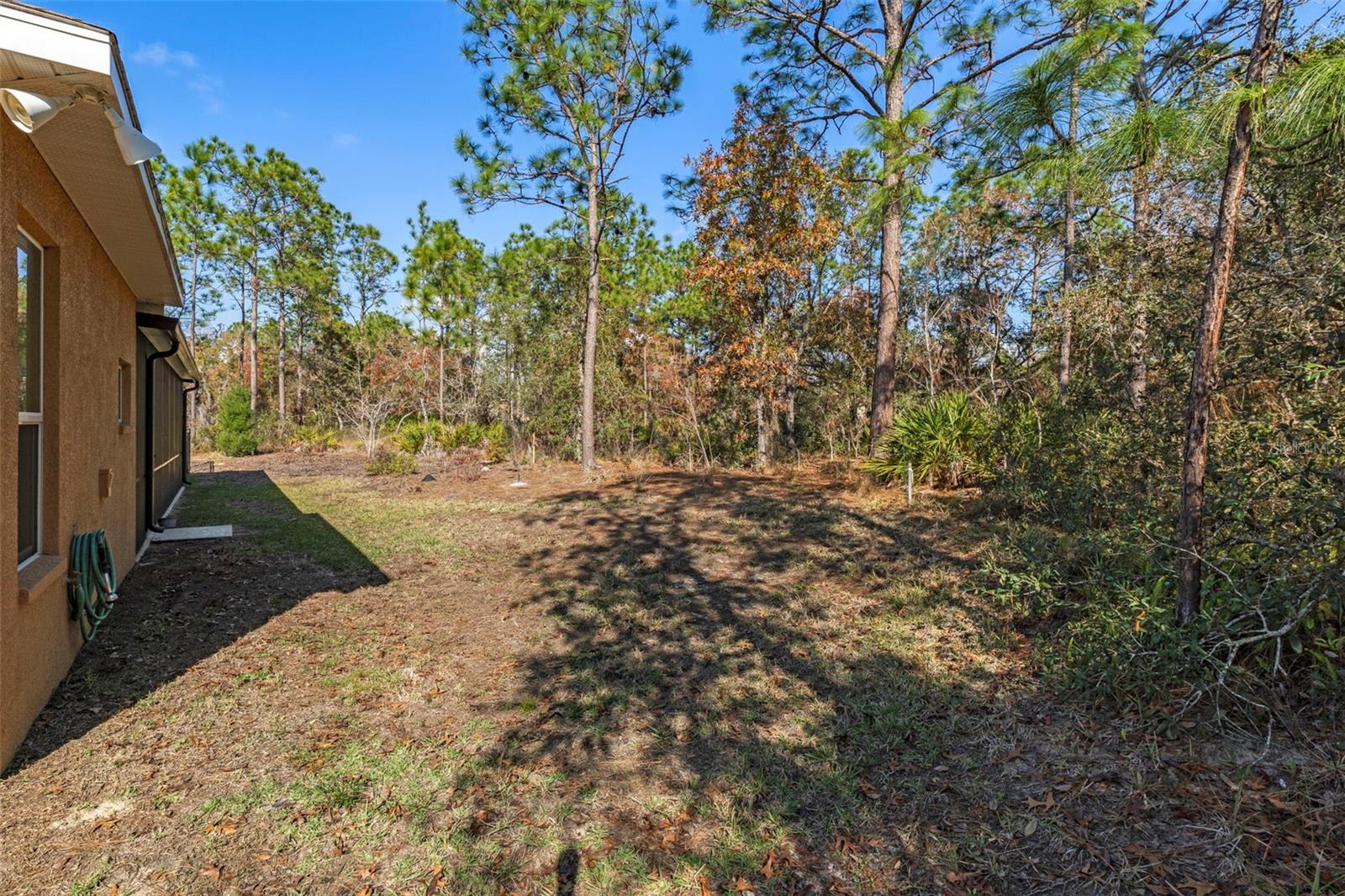 Image 42 of 63 For 39 Linder Street