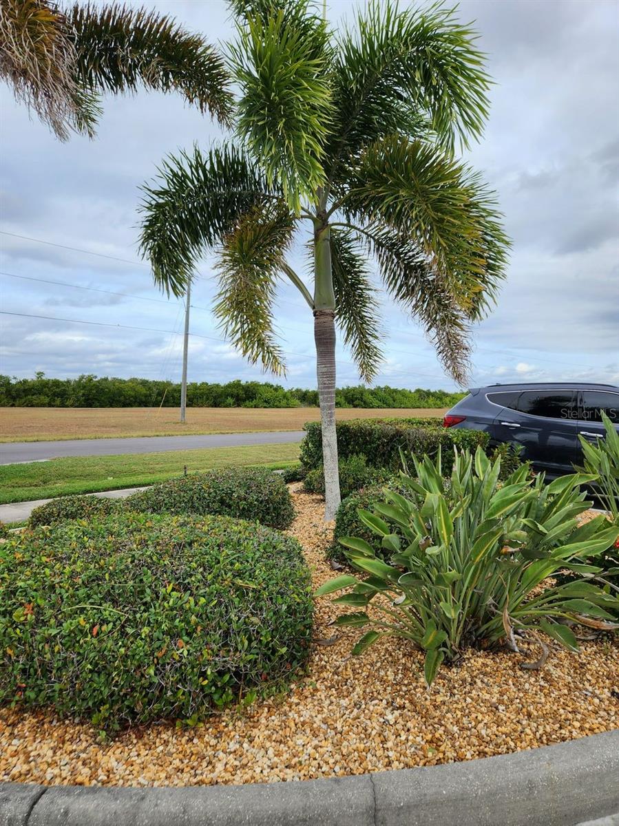 Image 32 of 33 For 17298 Acapulco Road 512