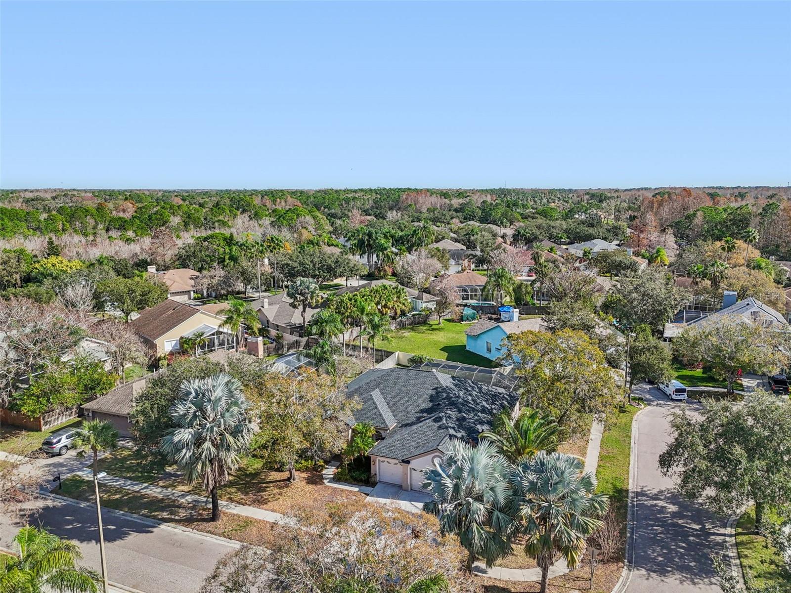 Image 93 of 100 For 9903 Bennington Drive