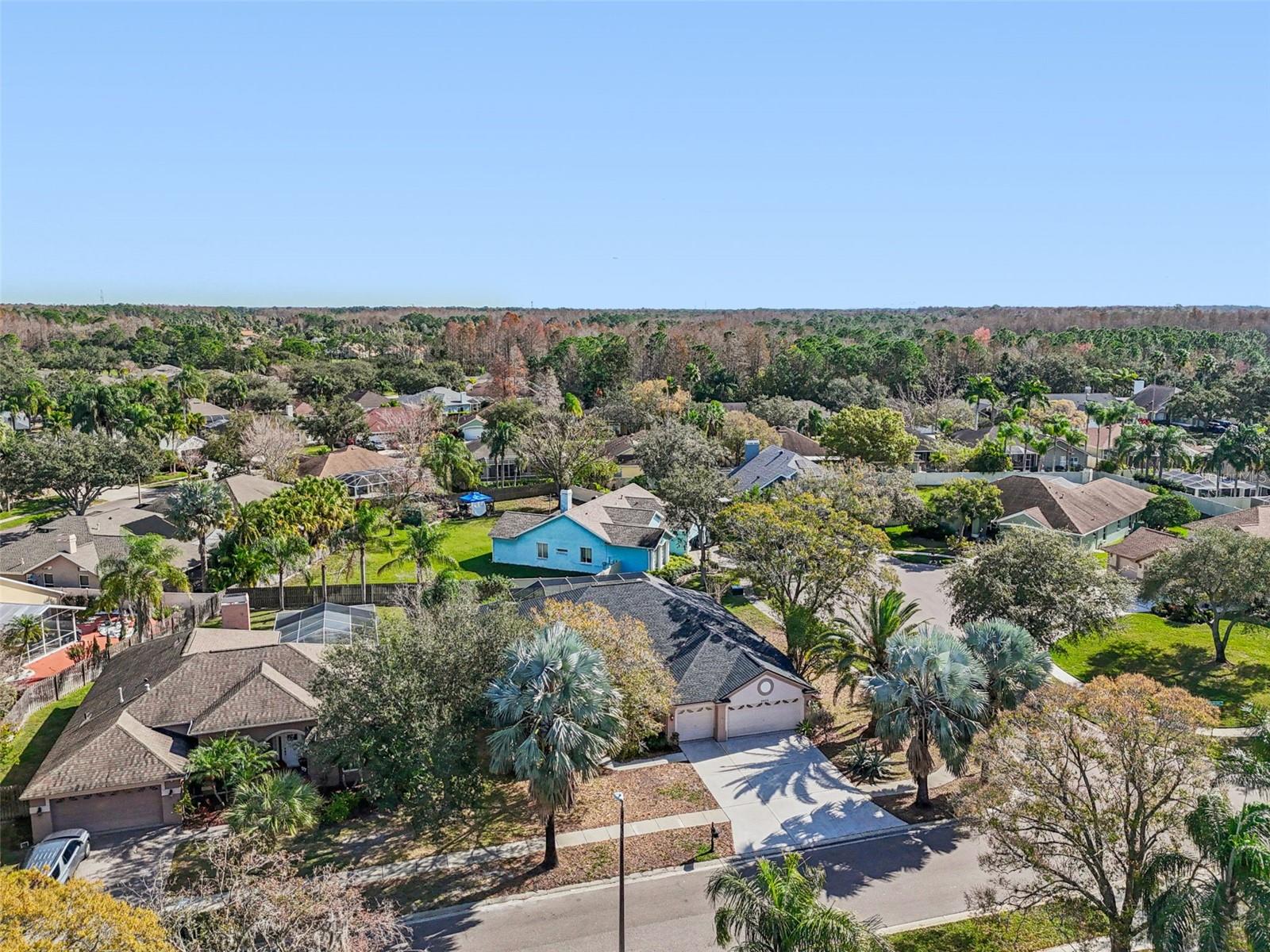 Image 94 of 100 For 9903 Bennington Drive