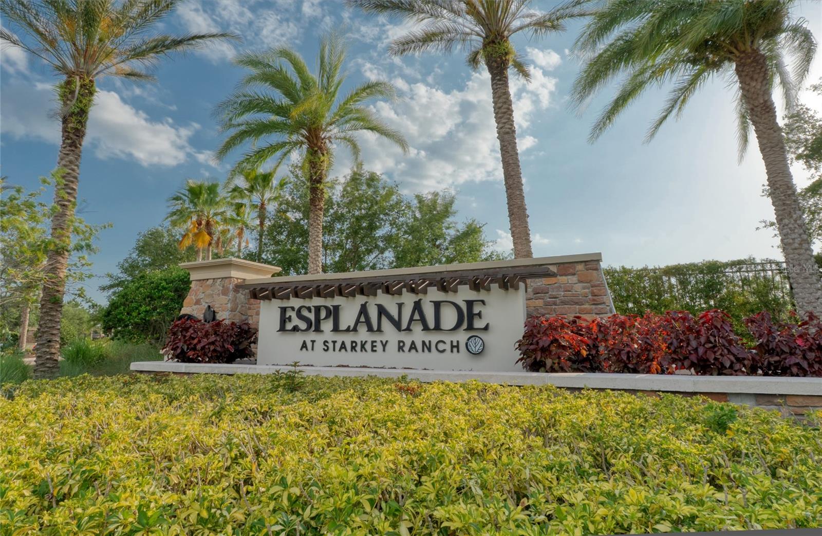 Listing photo id 21 for 11411 Juglans Drive