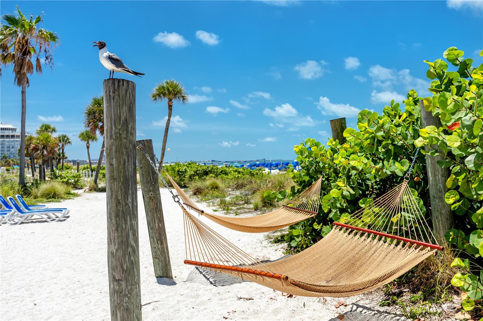 Image 20 of 36 For 3312 Maritana Drive