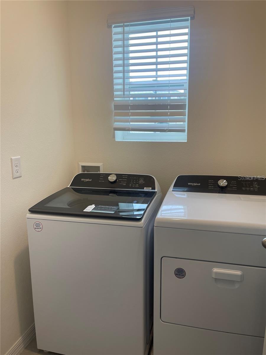 Image 16 of 21 For 33828 Jasmine Star Loop