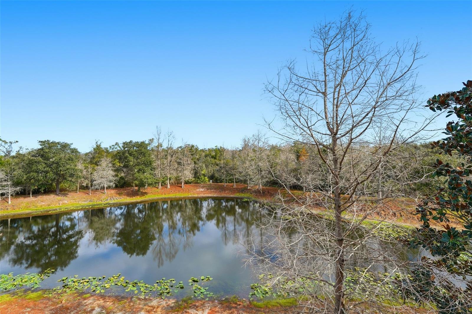 Image 31 of 71 For 9024 White Sage Loop