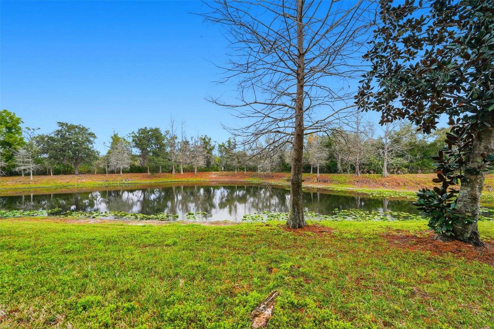 Image 47 of 71 For 9024 White Sage Loop