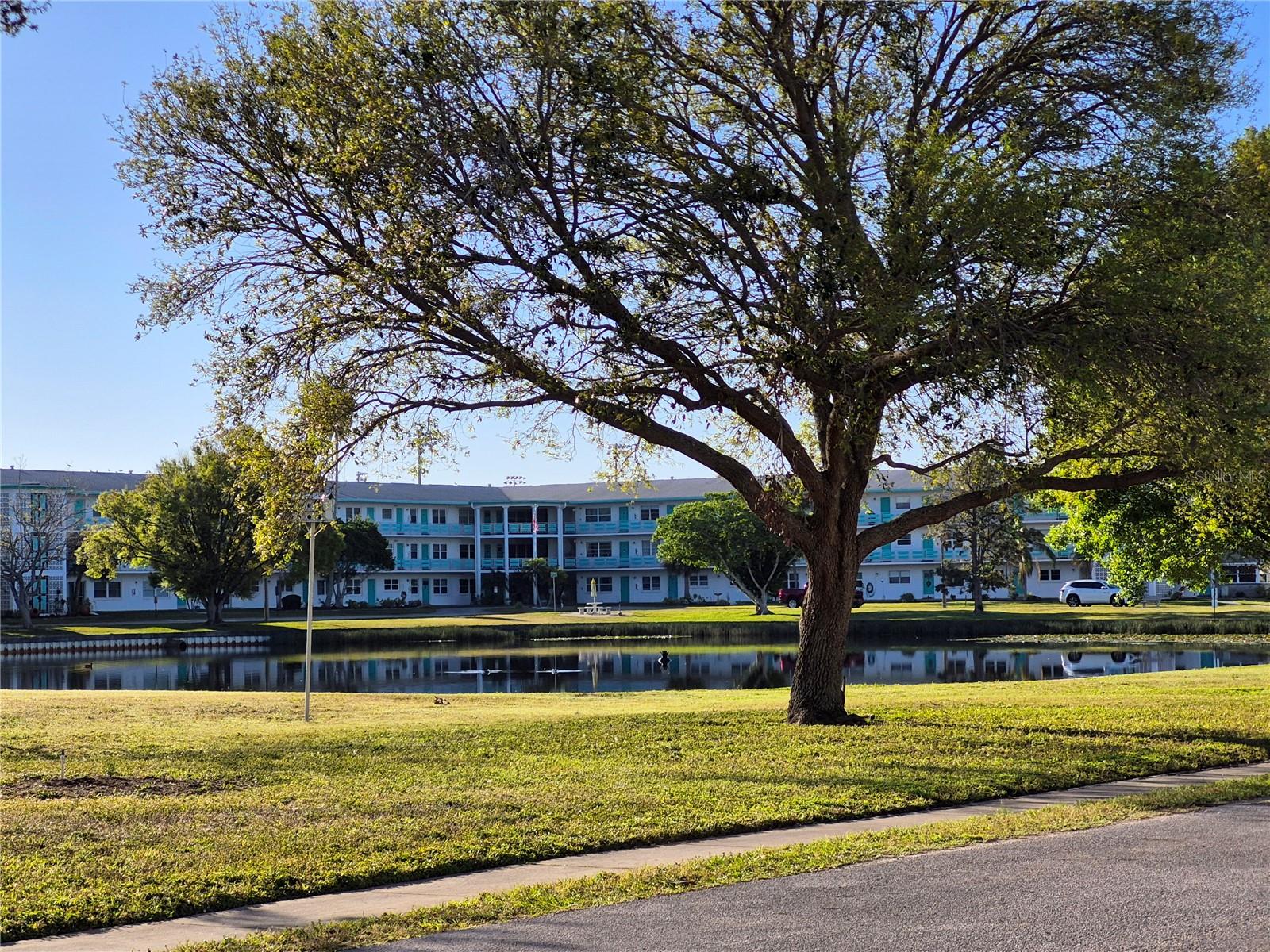 Details for 6000 20th Street N 116, ST PETERSBURG, FL 33714